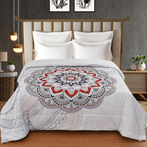 Fabia Comforter Set with King Size Bed Sheet & Pillow Covers by Florida
